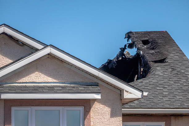 Top rated local Board Up Services specialists in Chanhassen, MN